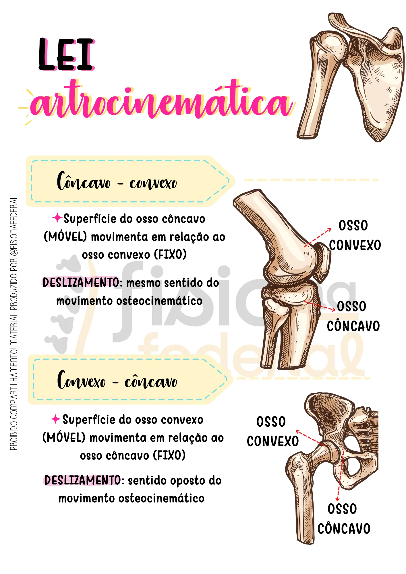 Amostra: Lei Artrocinemática