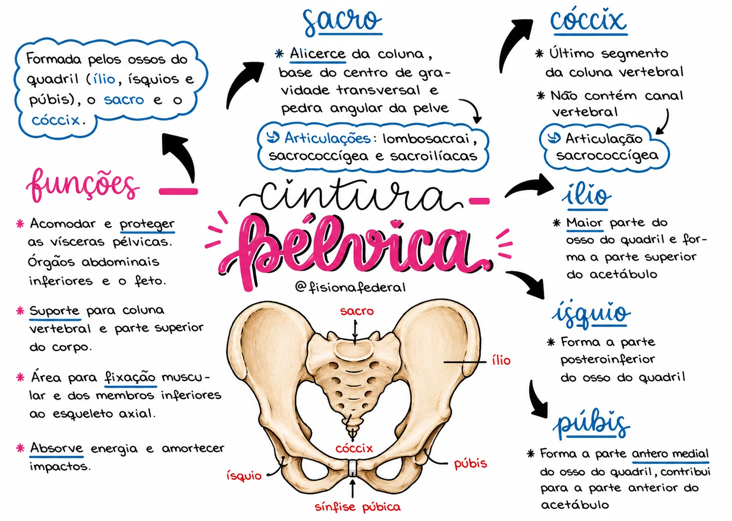 Mapa Mental 62