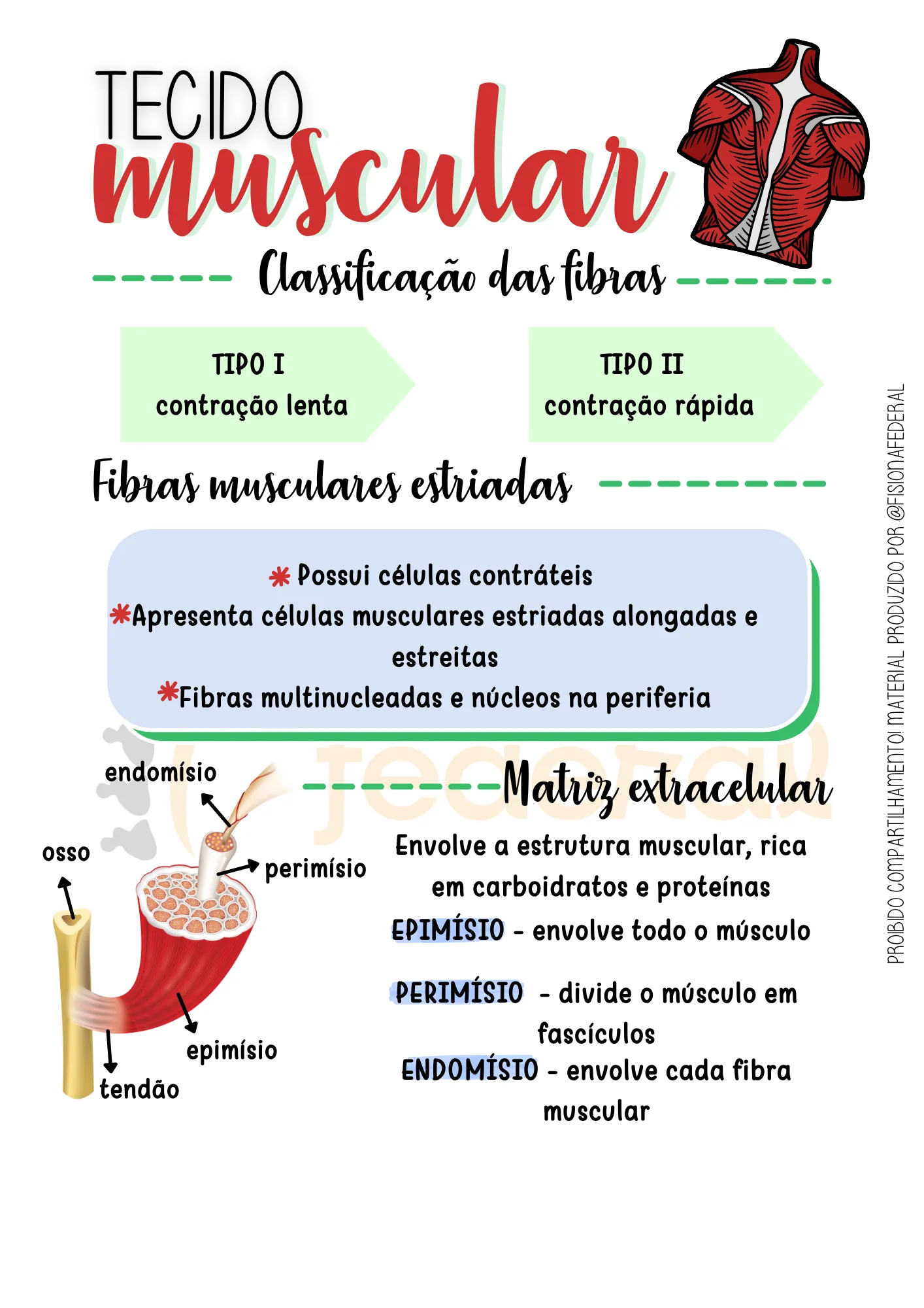 Página do material