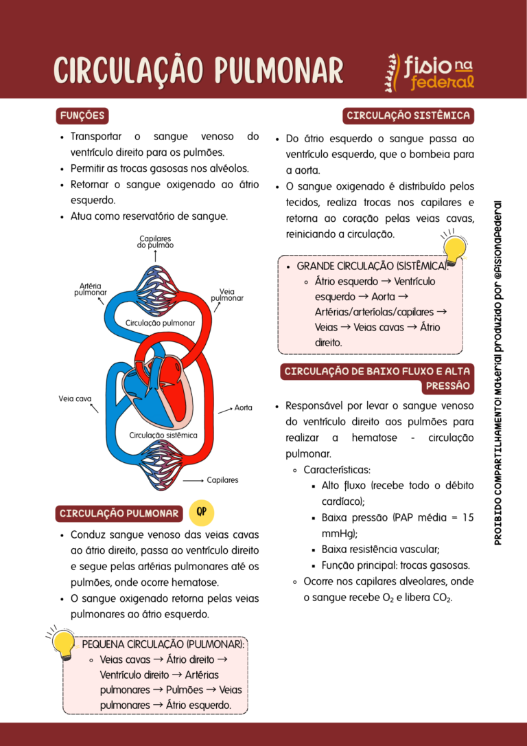 CIRCULAÇÃO PULMONAR