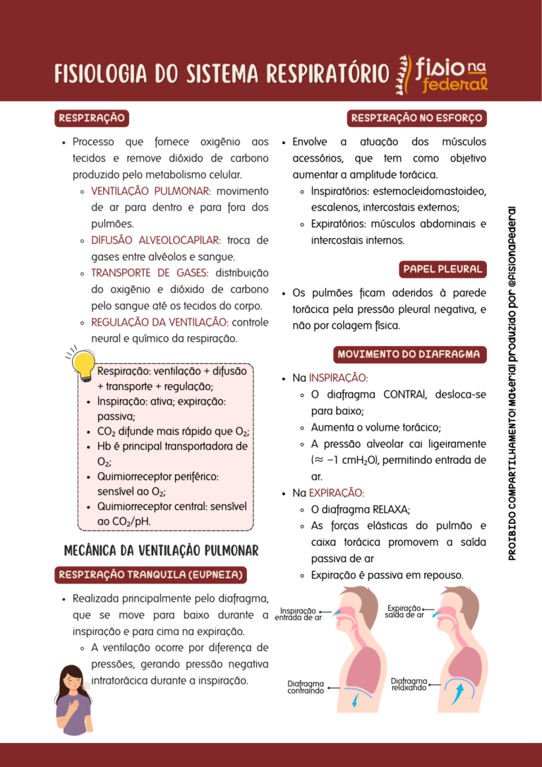 FISIOLOGIA DO SISTEMA RESPIRATÓRIO