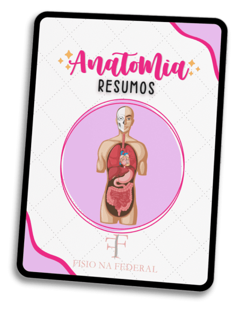 CAPAANATOMIA mockup1 CAPAANATOMIA mockup1