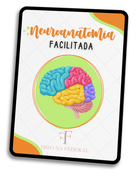 CAPANEUROANATOMIA FACILITADA mockup1 CAPANEUROANATOMIA FACILITADA mockup1